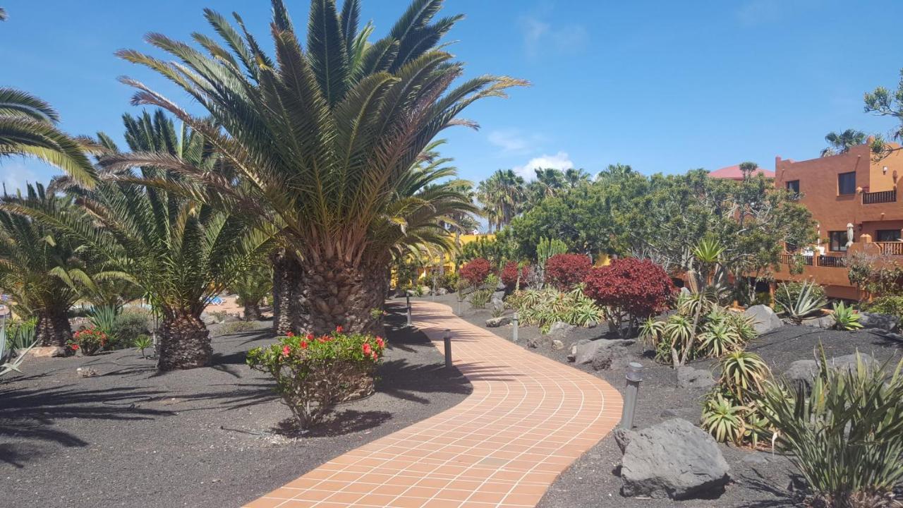 Apartament Oasis Royal 3 Piscinas Corralejo Zewnętrze zdjęcie