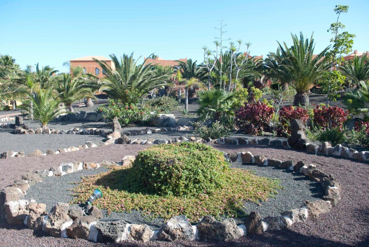 Apartament Oasis Royal 3 Piscinas Corralejo Zewnętrze zdjęcie