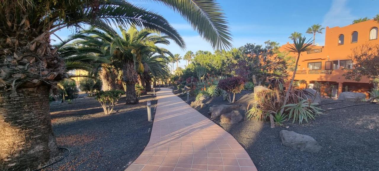 Apartament Oasis Royal 3 Piscinas Corralejo Zewnętrze zdjęcie